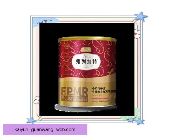 世界杯赛事深度解析与精准竞猜预测策略全面指南